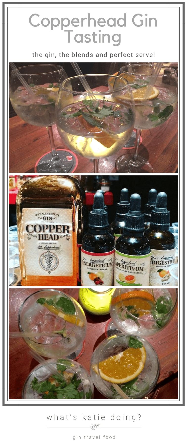 Copperhead Gin Tasting on What's Katie Doing? blog