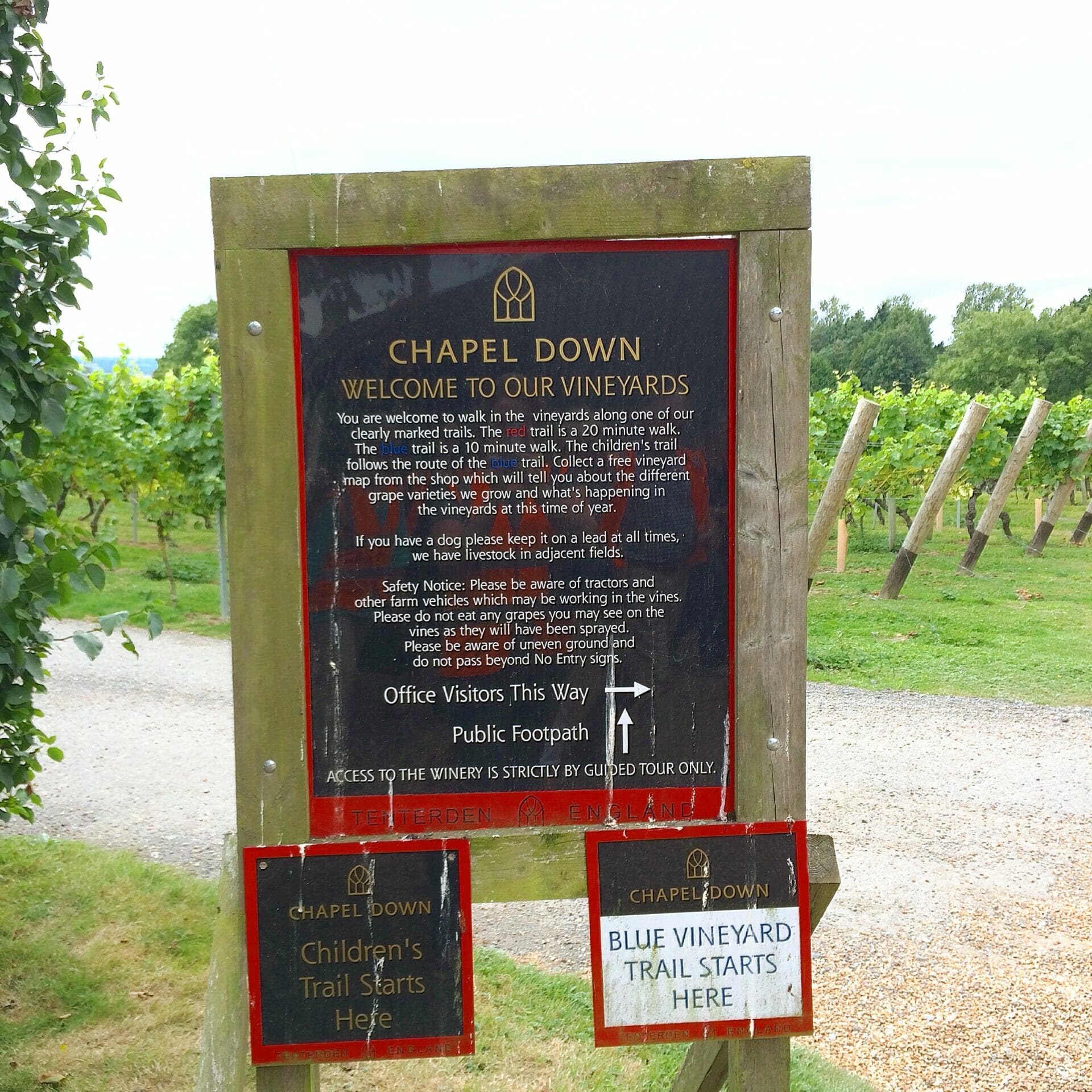 Chapel shop downs wine