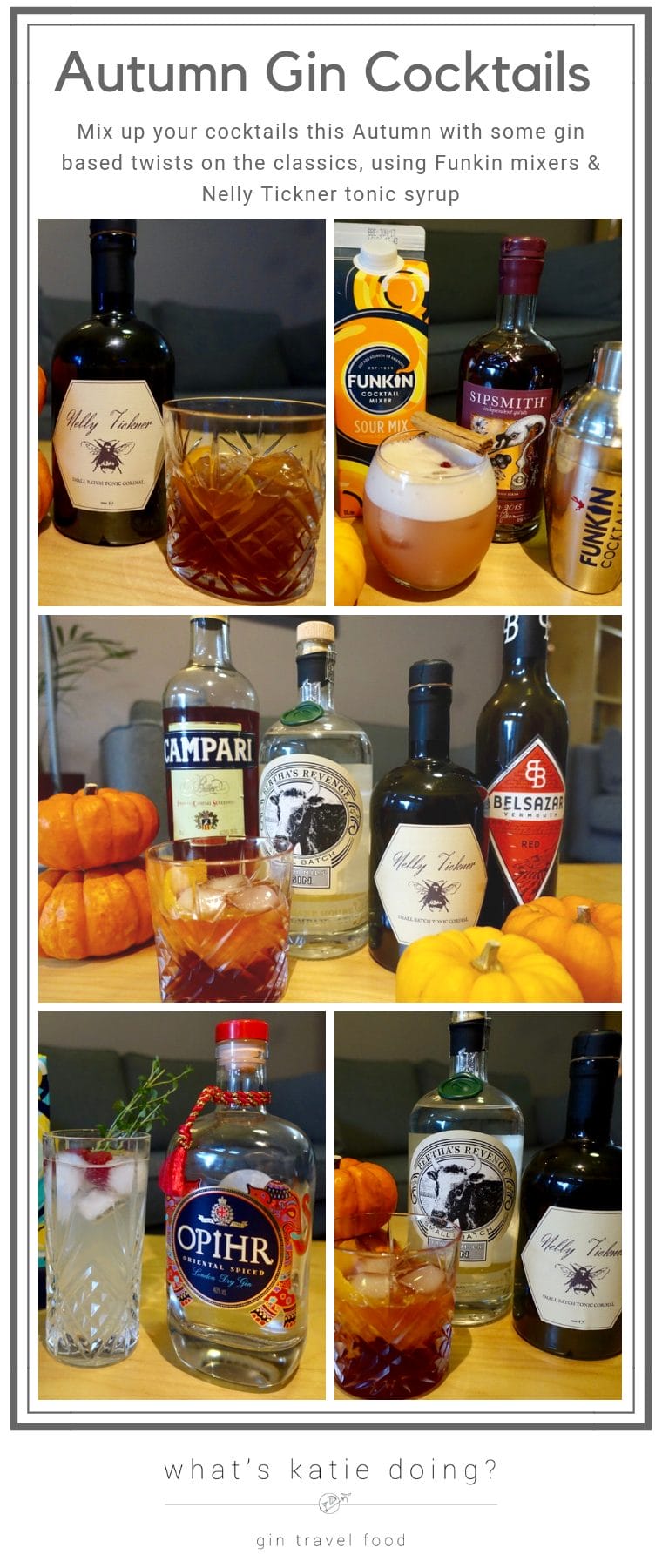Autumn gin cocktails with Funkin Mixers and Nelly Tickner tonic syrup #ginspired!