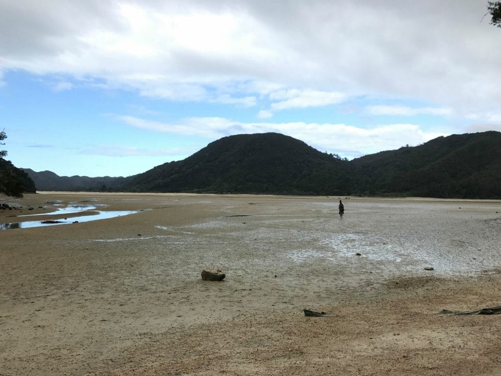 Abel Tasman: New Zealand's 9 Great Walks on What's Katie Doing? blog