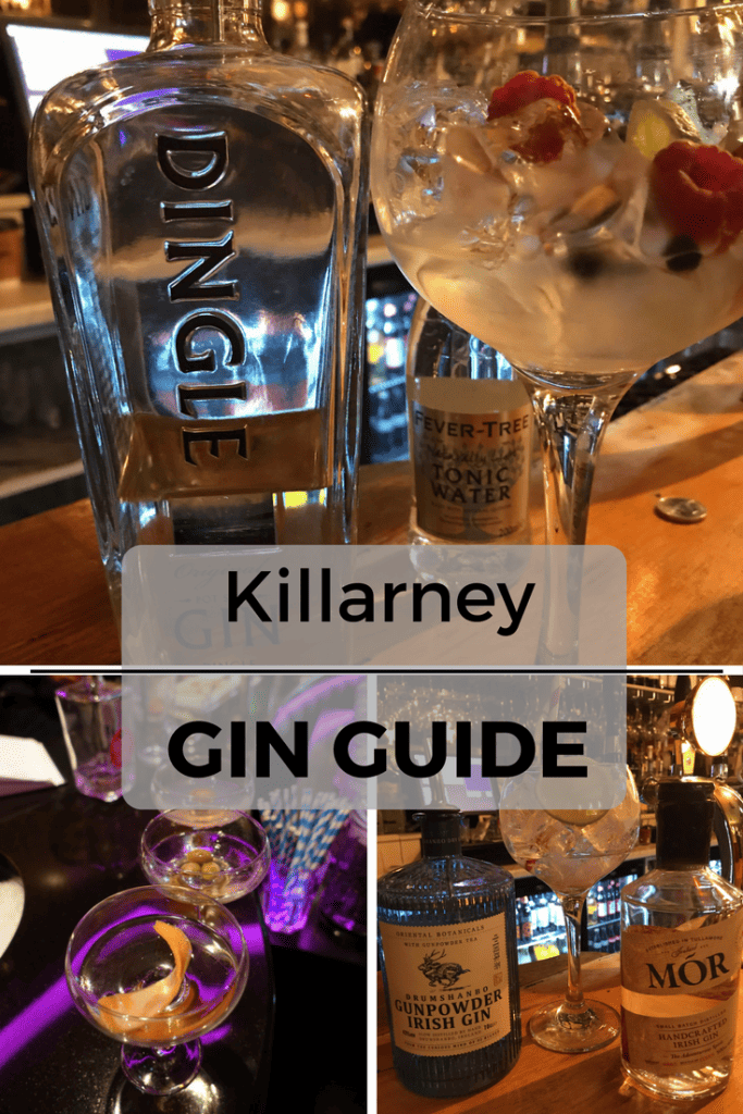 Killarney Gin Guide on What's Katie Doing? blog