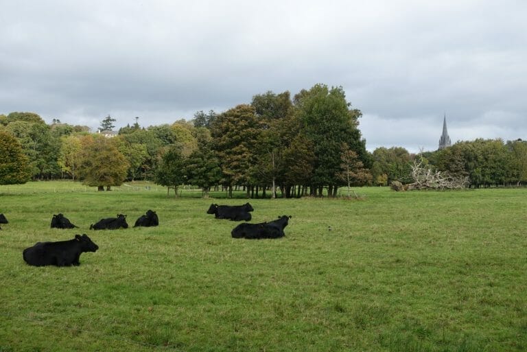 Outdoor activities in Killarney, Ireland What's Katie Doing?