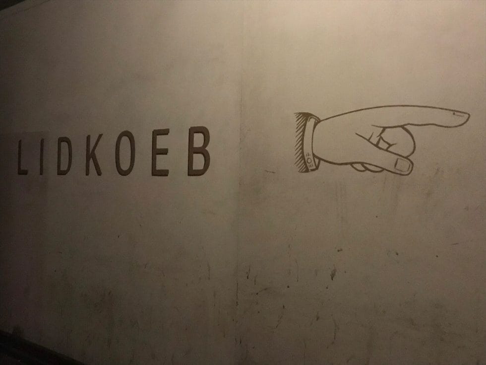 Lidkoeb finger pointing the direction
