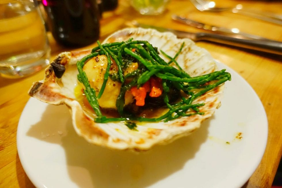 Scallops served in the shell with black pudding