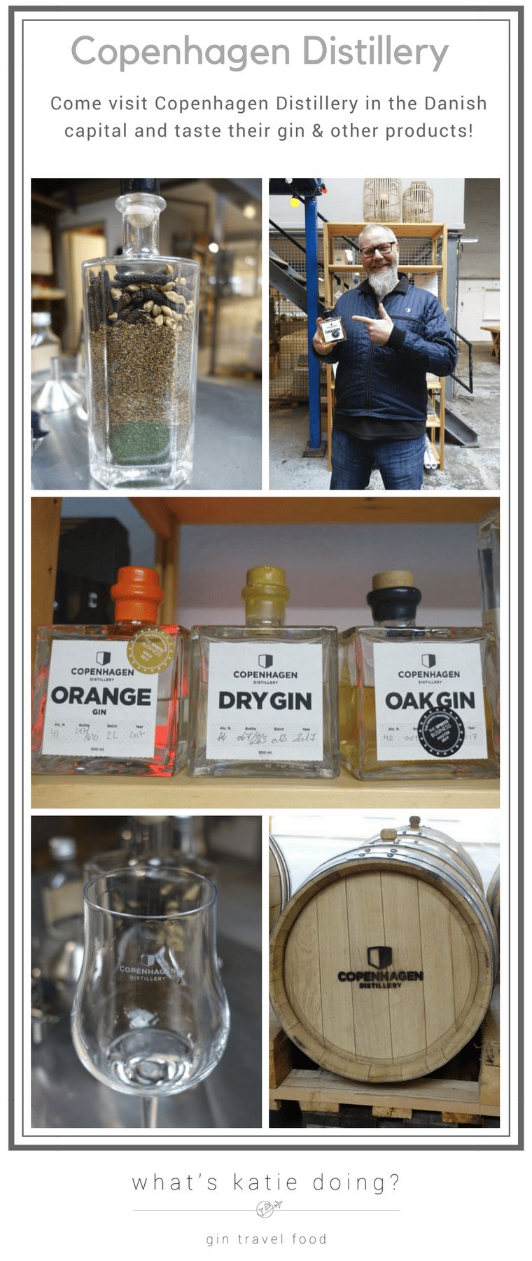 Pinterest image for Copenhagen Distillery visit