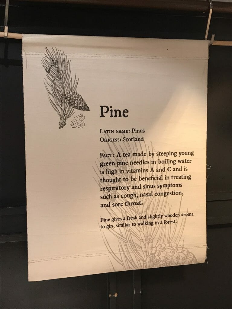 Pine information - adds a flavour like walking in the forest to the gin!