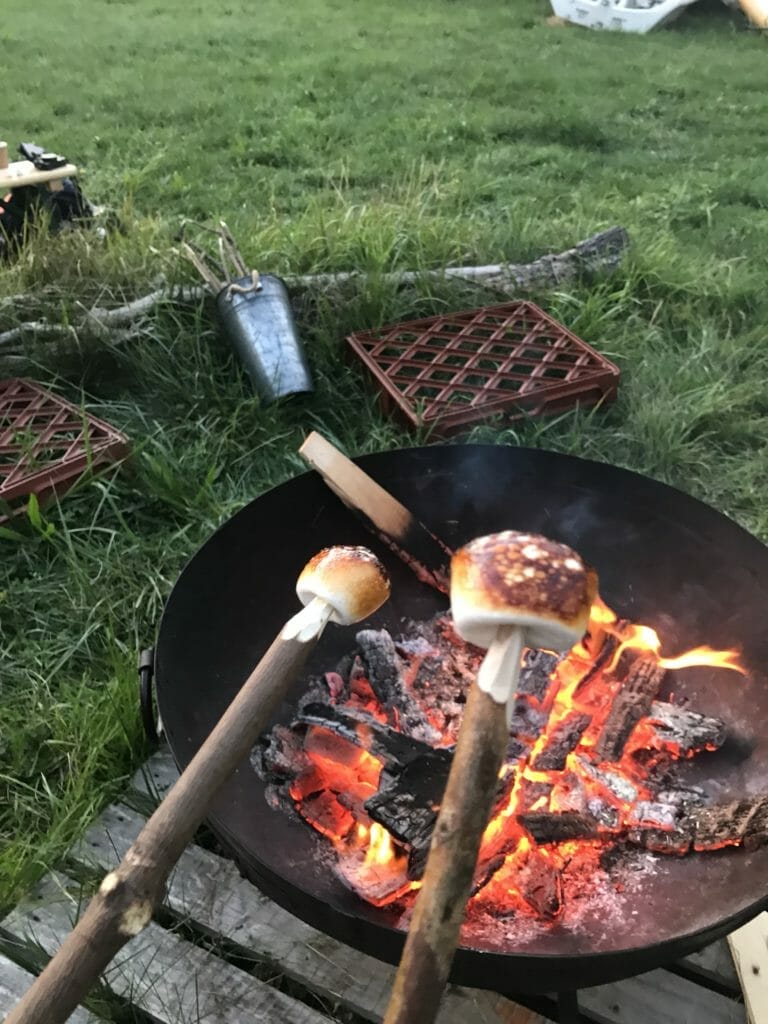 Marshmallows toasting on an open fire