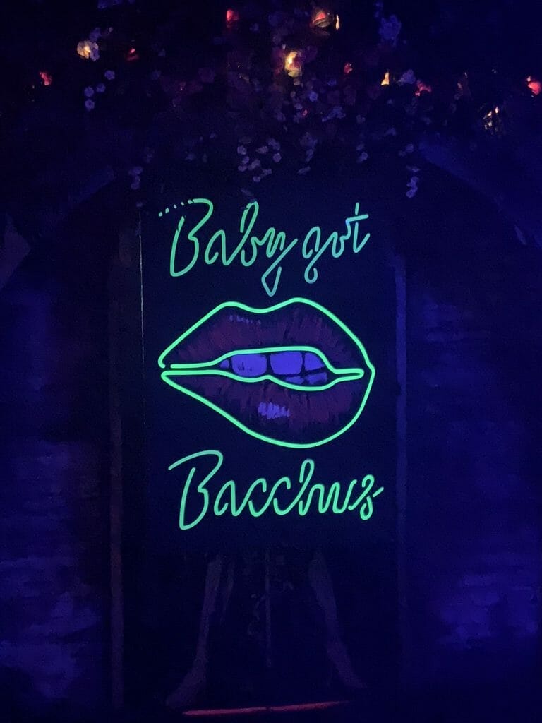 Neon sign of 'Baby got Bacchus' - part of the transformation of the downstairs room to make it into Hades