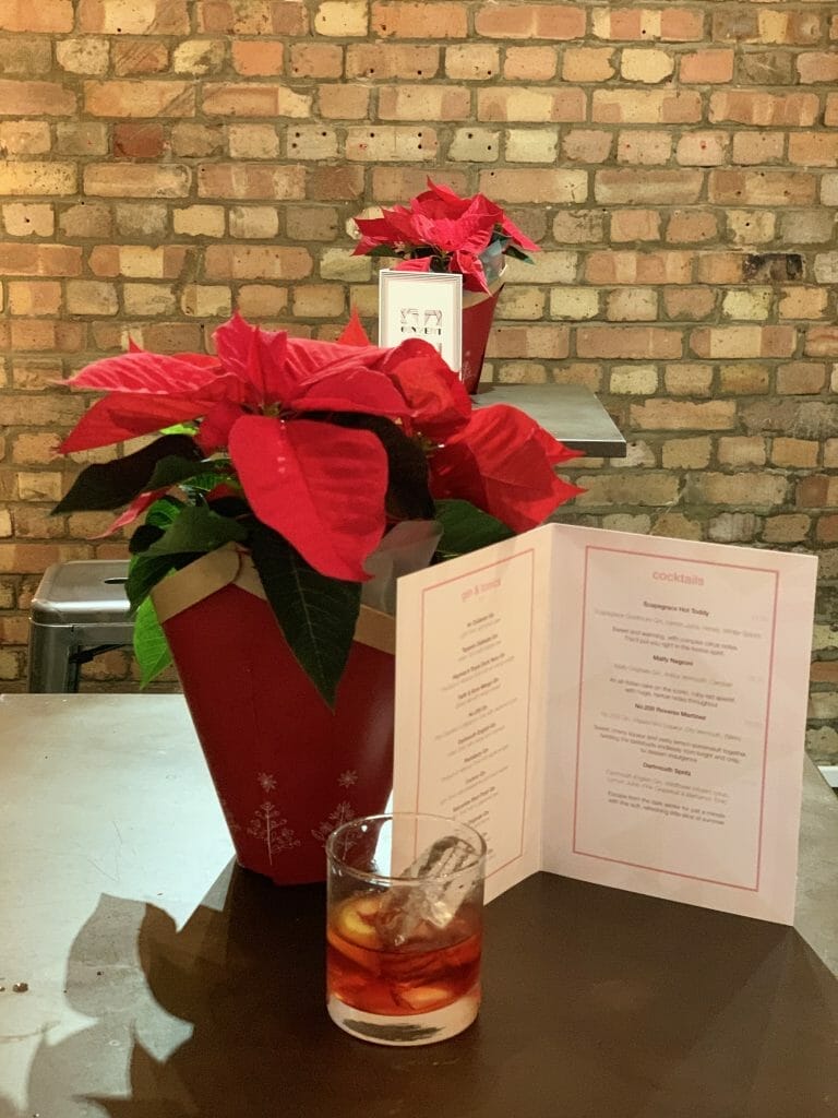 Negroni with menu and poinsettia in background