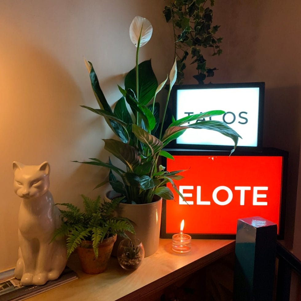 Cat statue, plants and light boxes spelling out TACOS & ELOTE (the kitchen name)