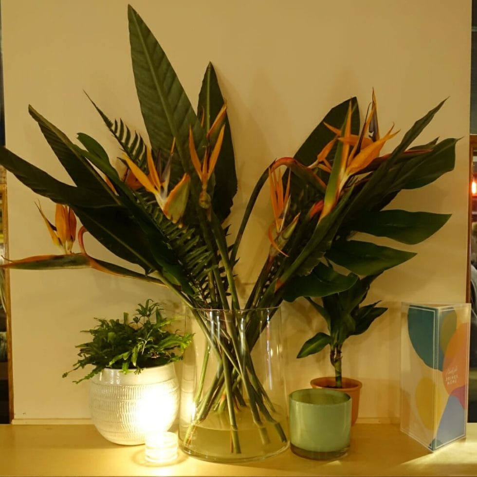 Flowers and striking leaves decorating the bar area