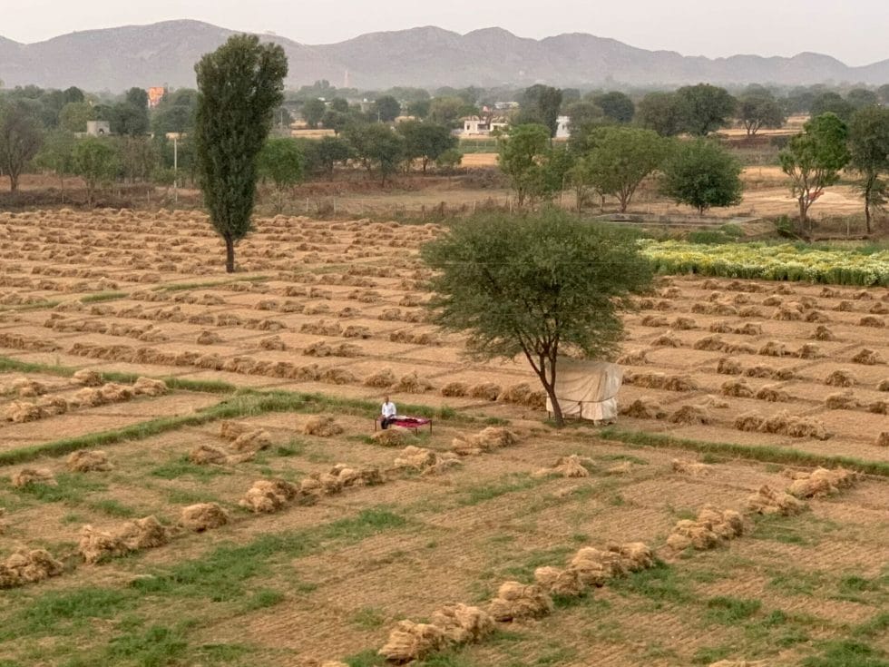 Man sitting down in the harvested field