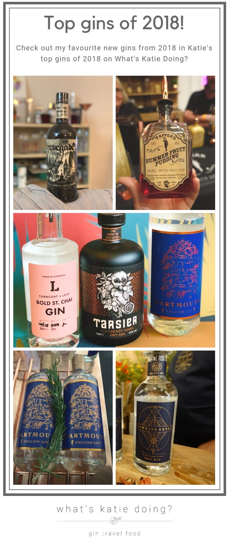 Katie's top new gins of 2018 - the ones to check out and keep an eye on