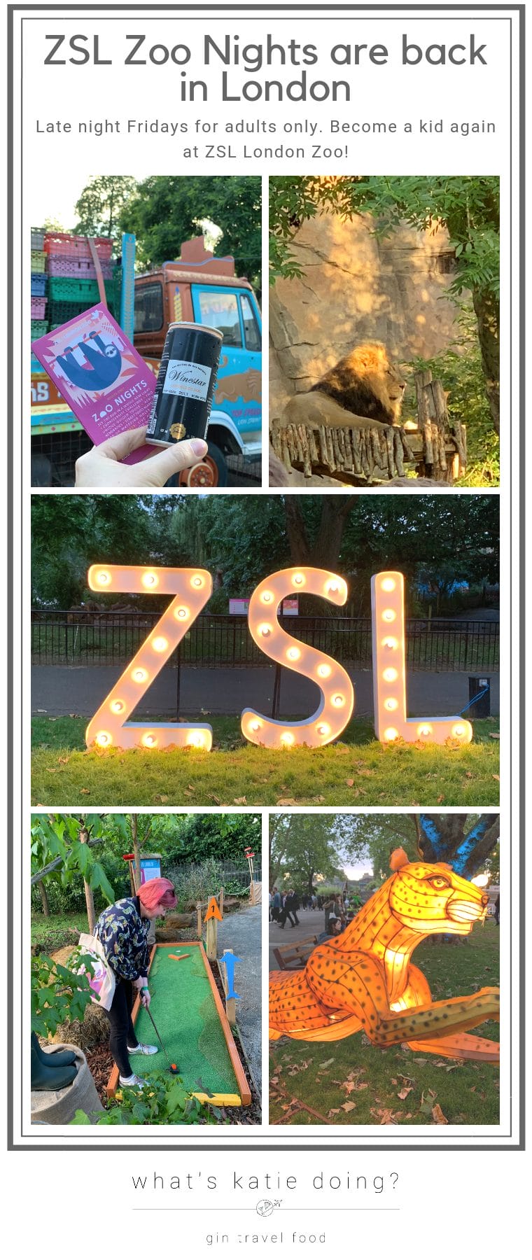 ZSL Zoo Nights are back in London., Late night Fridays for adults only - big kids take over ZSL London Zoo this Summer!