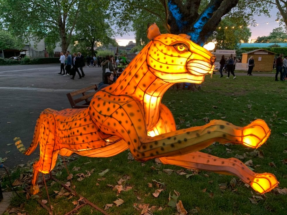 Leopard animal lantern lit up