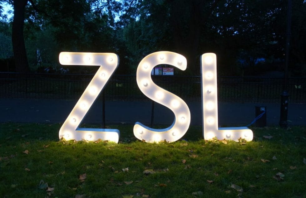 ZSL light up in large free standing lights