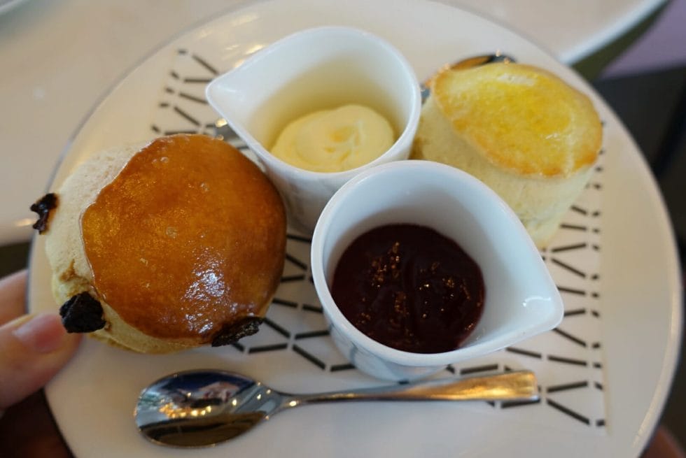 Scones on a plate with pots of clotted cream and jam 