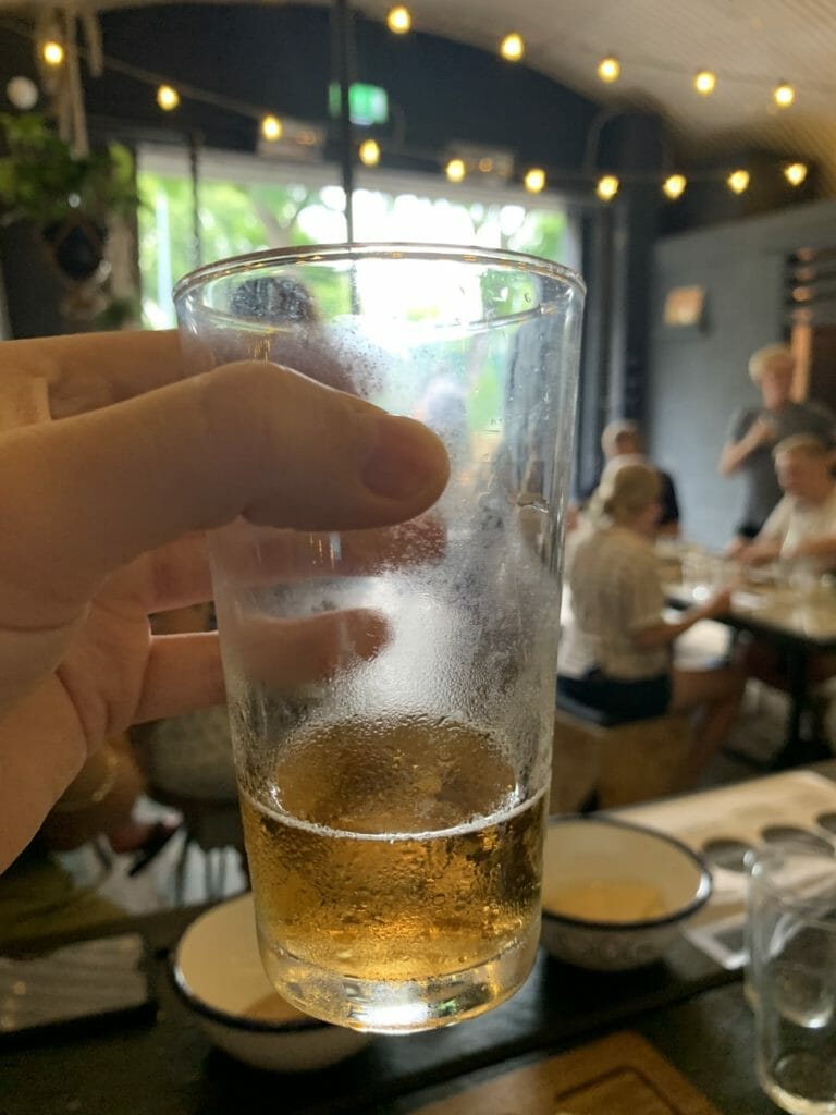 Glass of pale ale held up