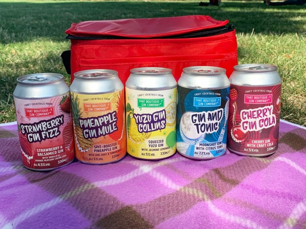 Boutiquey gin cocktail cans on picnic blanket