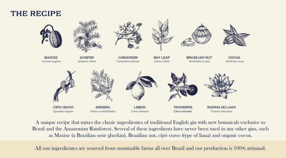 Amazzoni botanical drawings courtesy of Amazzoni gin