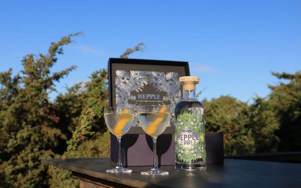 Hepple gift box in front of juniper bush, with Hepple gin bottle and glasses with martini in them