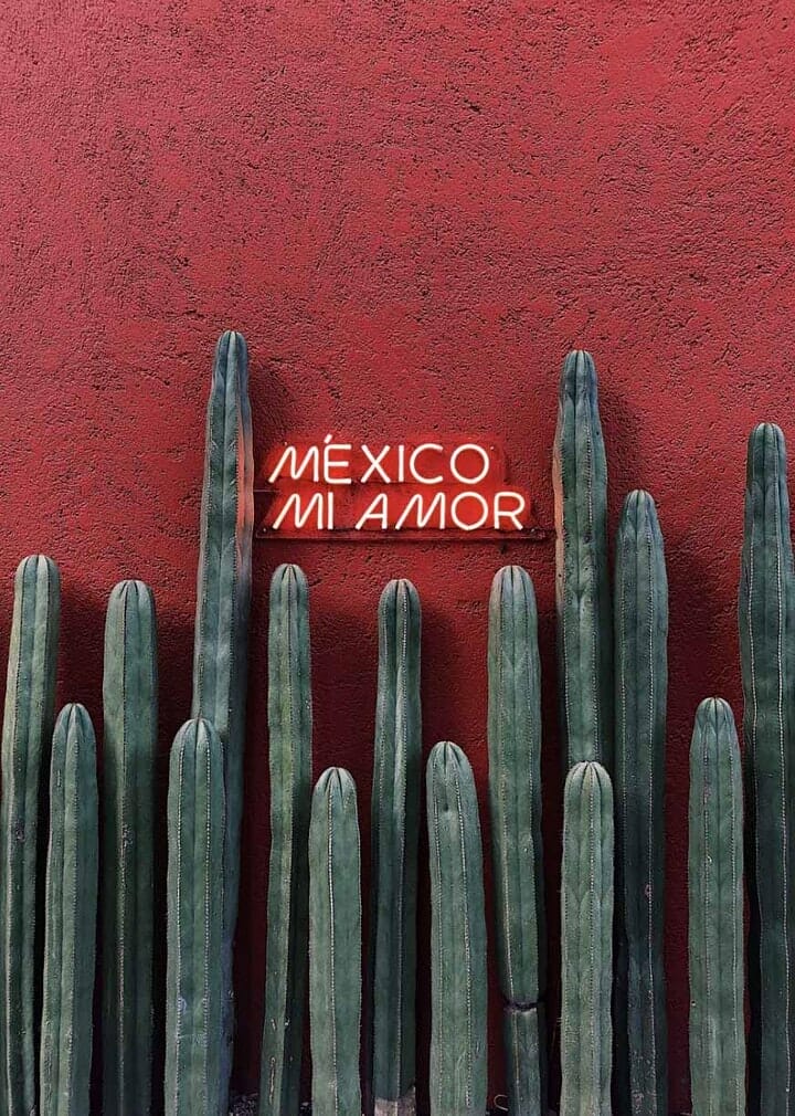 Red neon sign 'Mexico mi amor' on a red wall with cacti underneath