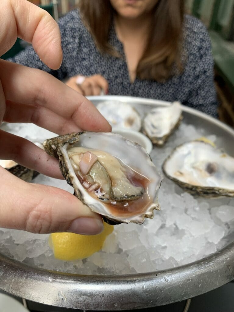 Oyster held up to the camera