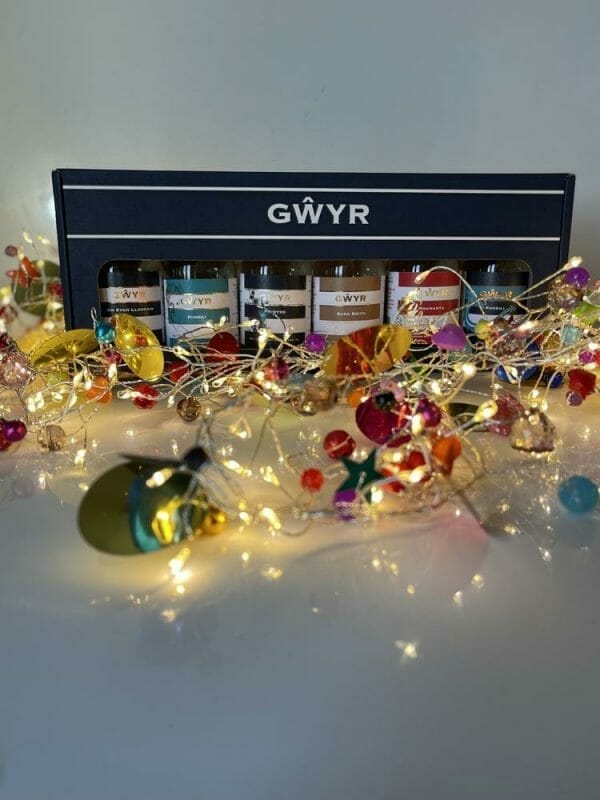Gwyr 6 pack of minis with fairy lights in front