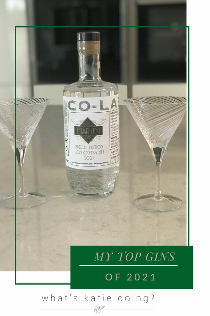 My Top Gins of 2021 - World Martini Day gin collab perfect for martinis