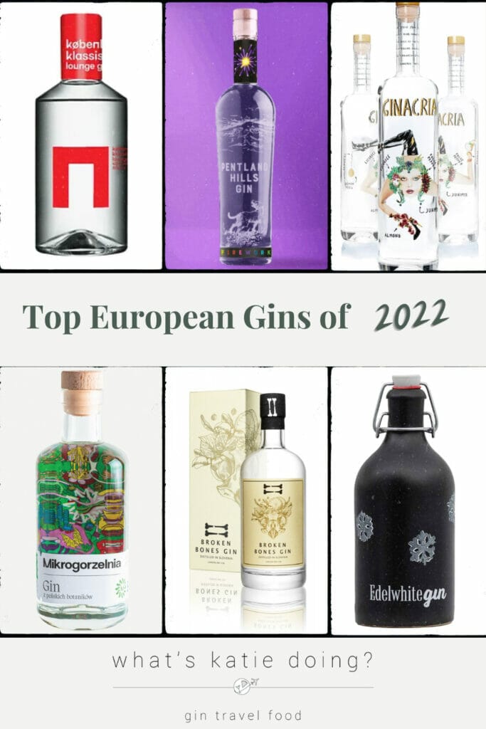 6 of the top European gins of2022